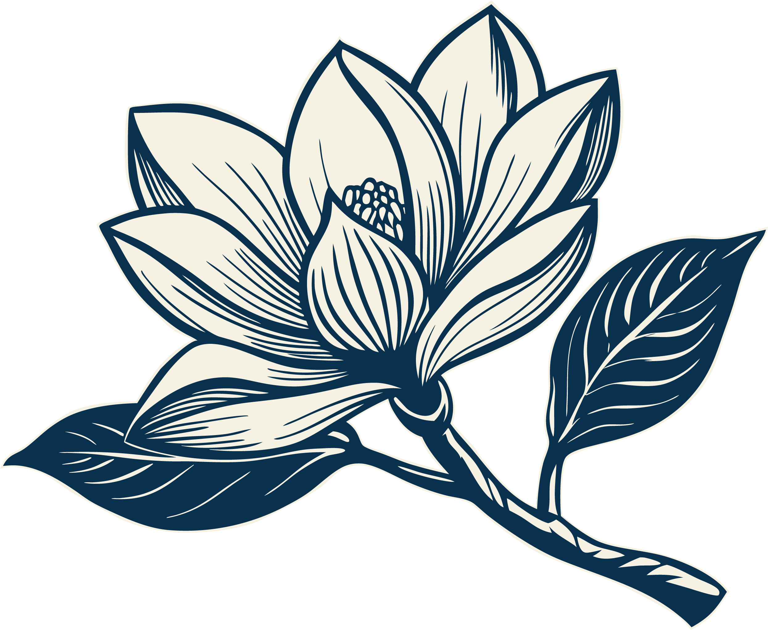 Magnolia